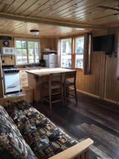 cabin 3 kitchen