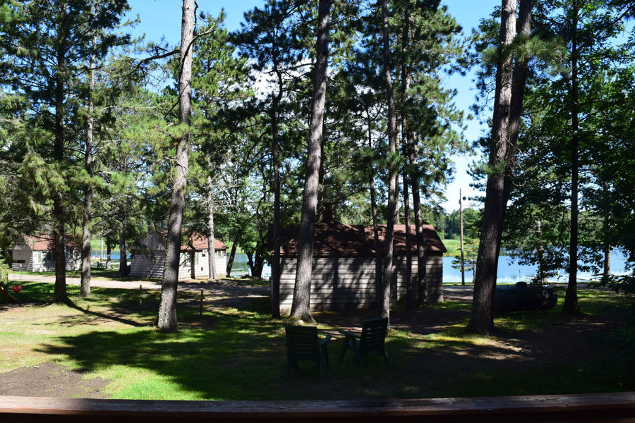 view of the lake through the pines from cabin 14