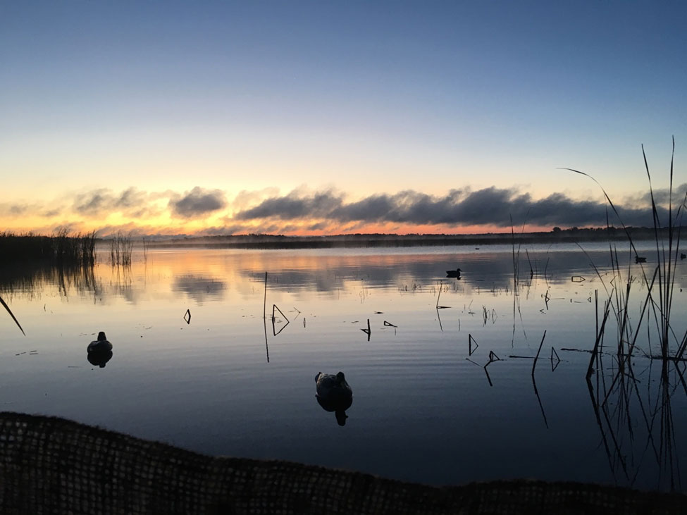 duck decoys floating on the lake at sunset