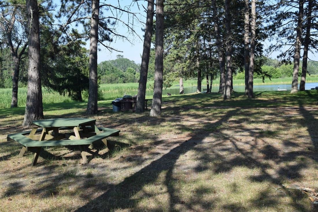Campground and picnic tables at Cut Foot Sioux Resort
